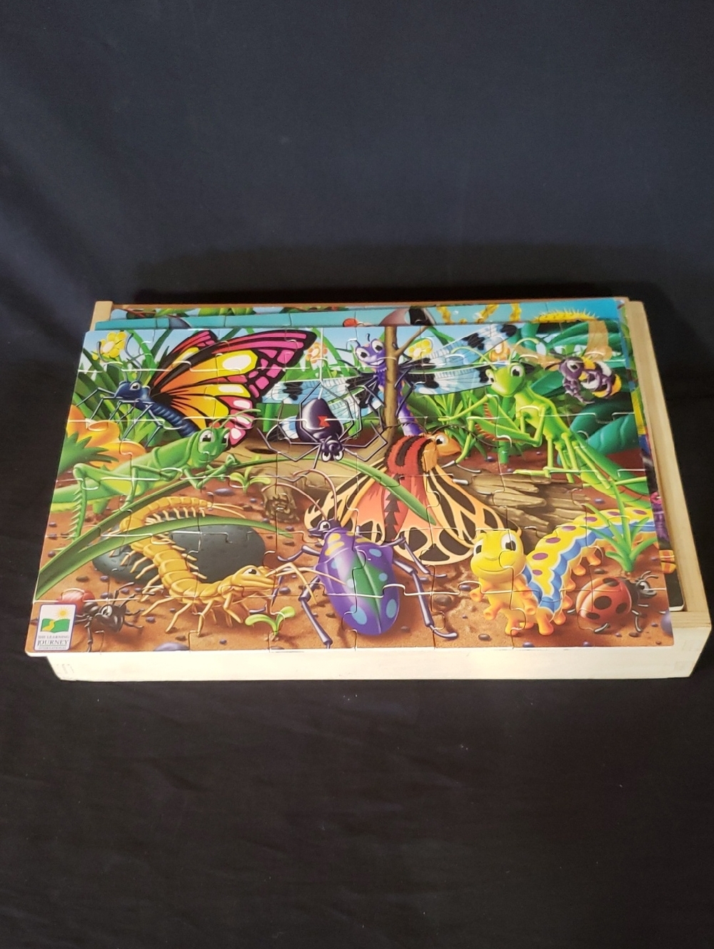 Learning Resources Wooden Puzzle Set
